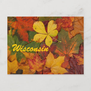 Wisconsin Autumn Leaves Postcard Postkarte