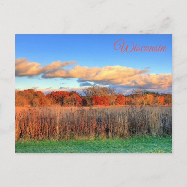 Wisconsin Autumn Scenic View Postcard Postkarte (Vorderseite)