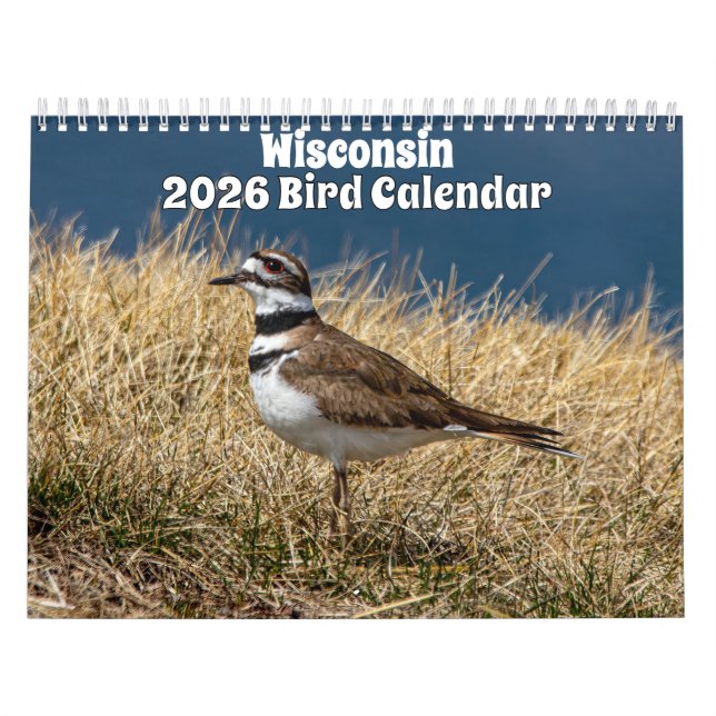 Wisconsin Birds Calendar 2026 Kalender (Titelbild)