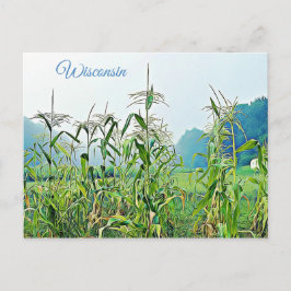 Wisconsin Corn Stalks Mittelwestliches Foto Postka Postkarte