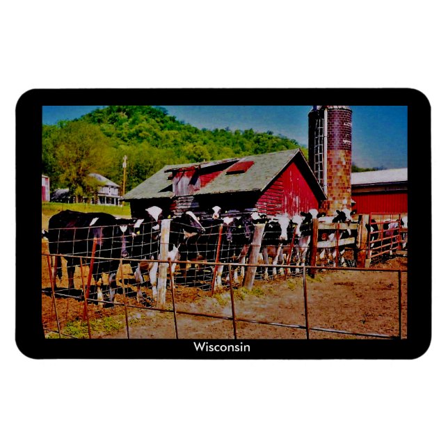Wisconsin Cows Magnet (Horizontal)