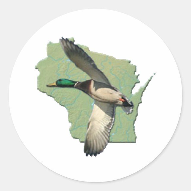 Wisconsin-Ente Runder Aufkleber (Vorderseite)