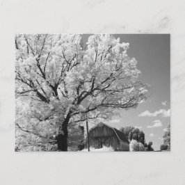 Wisconsin Farm Postcard Postkarte