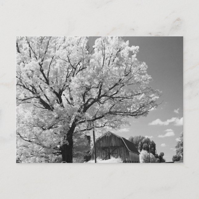 Wisconsin Farm Postcard Postkarte (Vorderseite)