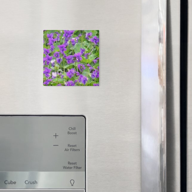 Wisconsin Holzviolette - Maßgeschneiderte Magnet (In Situ (Kühlschrank))