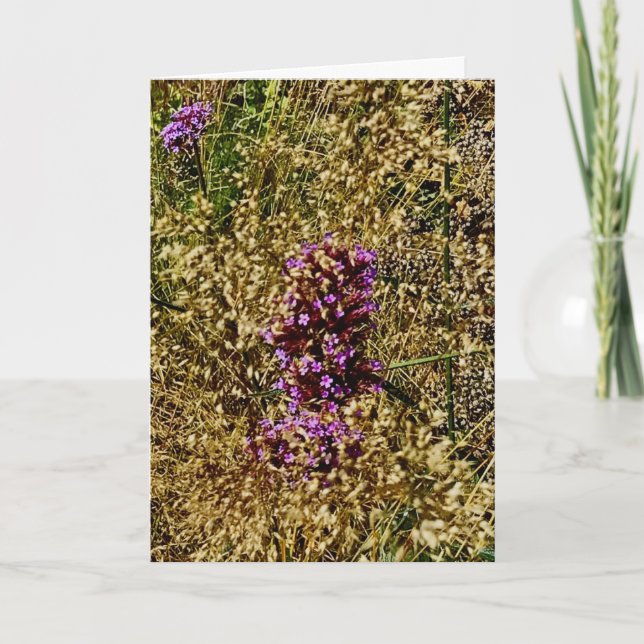 Wisconsin, Lila Wildblume, Herbst 2021 Karte (Vorderseite)