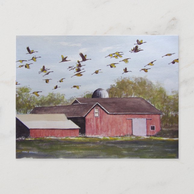 Wisconsin Sand Cranes - Postkarte (Vorderseite)