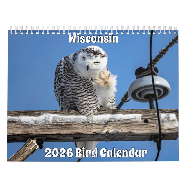Wisconsin-Vogelkalender 2026 Kalender (Titelbild)