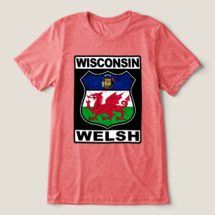 Wisconsin Welsh American Tri-Blend Shirt