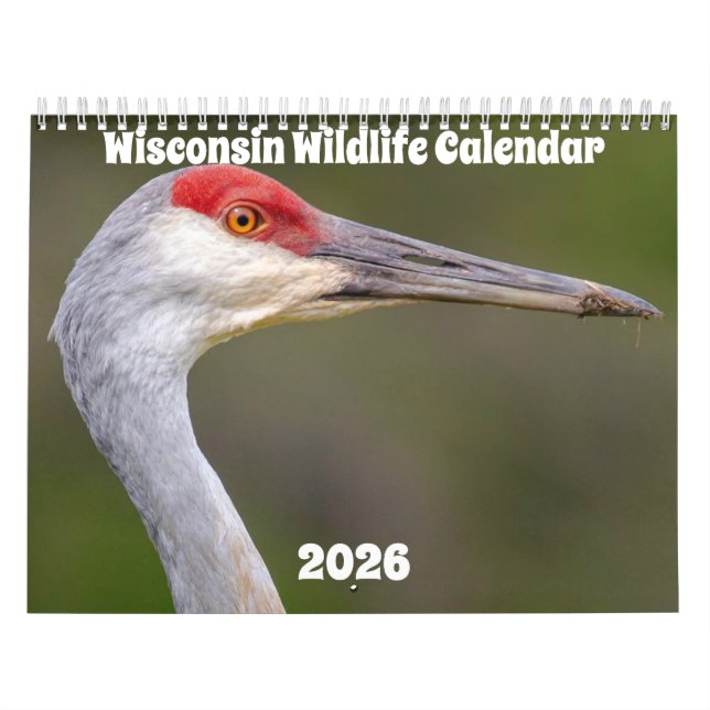 Wisconsin Wildlife Calendar 2026 Kalender (Titelbild)