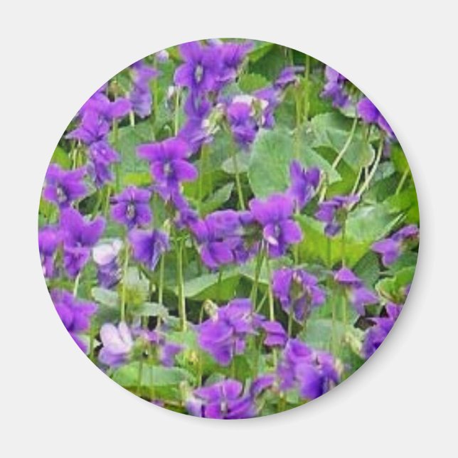 Wisconsin Wood Violets Magnet (Vorne)