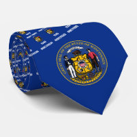 Wisconsinite Flag & Siegel, Flagge von Wisconsin