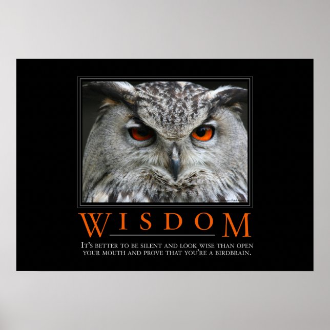 Wisdom Motivierend Parody Poster (Vorne)