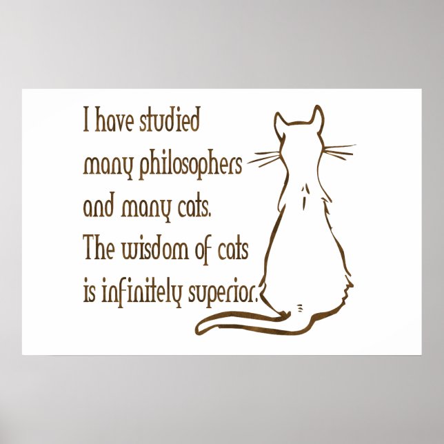 Wisdom of Cats Poster (Vorne)