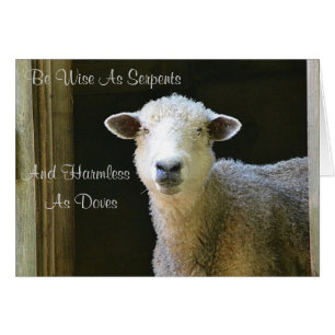 Wise As Serpents Sheep