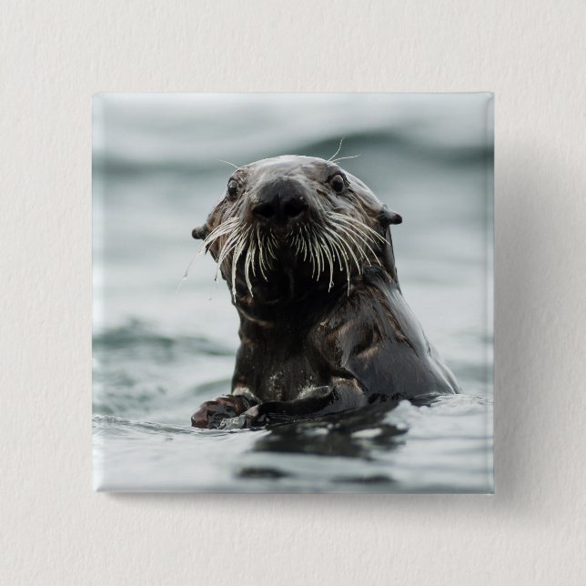 Wise Otter Button (Vorderseite)