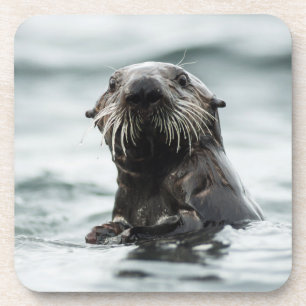 Wise Otter Getränkeuntersetzer