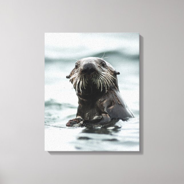 Wise Otter Leinwanddruck (Vorderseite)