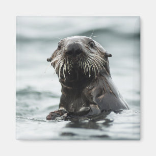 Wise Otter Magnet