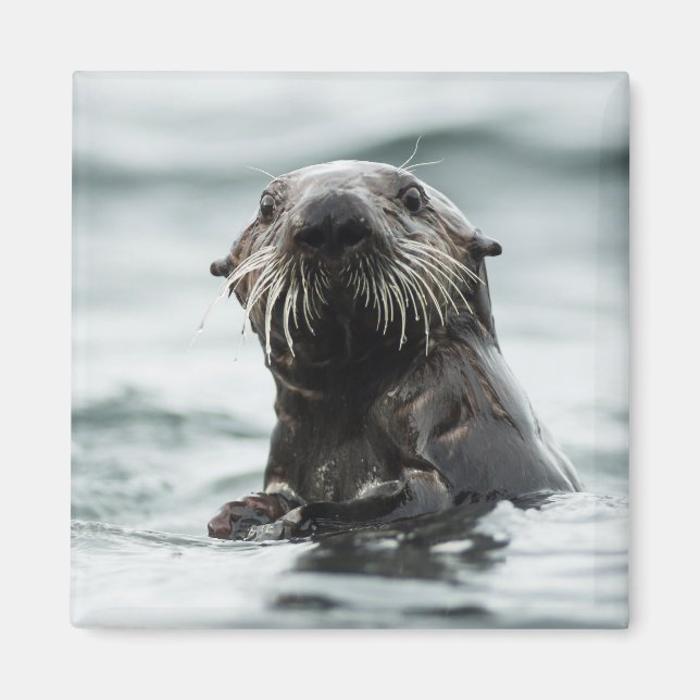 Wise Otter Magnet (Vorne)