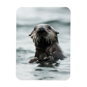 Wise Otter Magnet