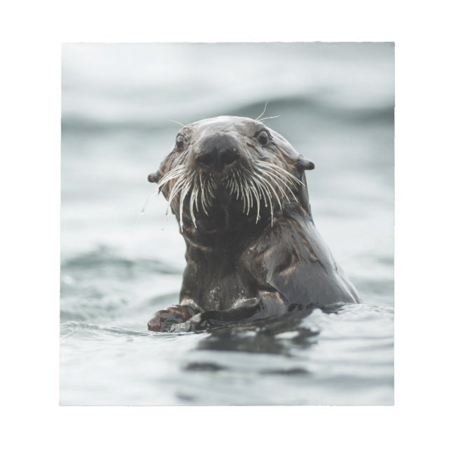 Wise Otter Notizblock (Vorderseite)