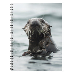 Wise Otter Notizblock