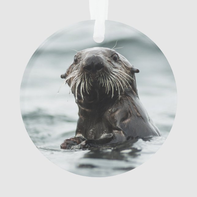 Wise Otter Ornament (Rückseite)