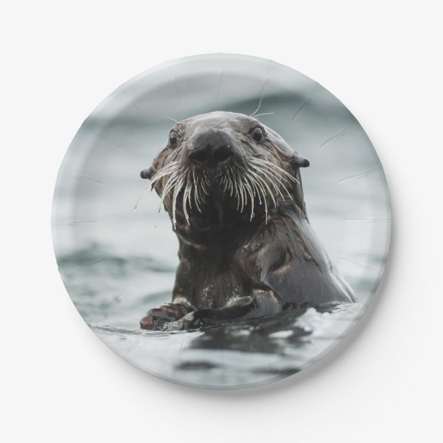 Wise Otter Pappteller (Vorderseite)