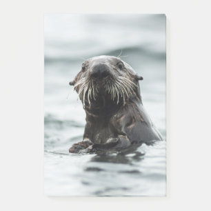 Wise Otter Post-it Klebezettel