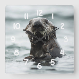 Wise Otter Quadratische Wanduhr
