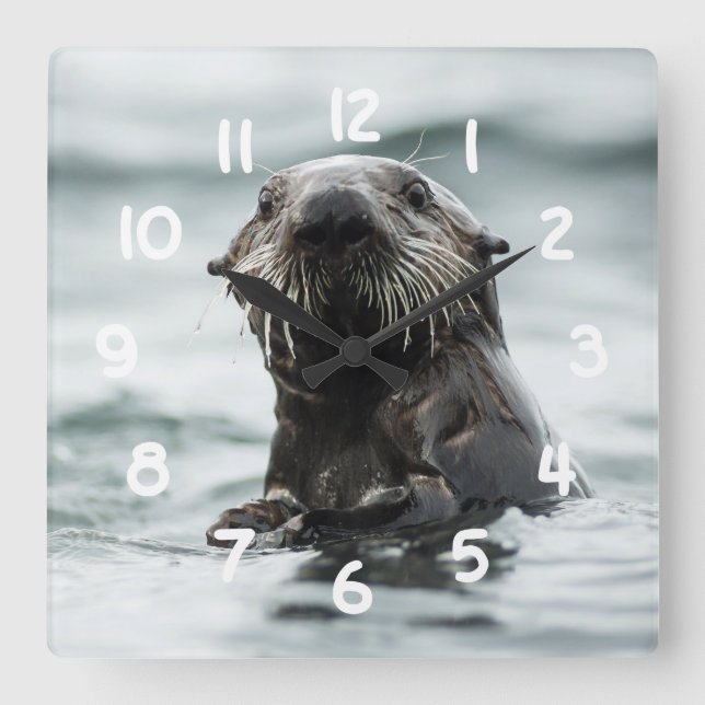 Wise Otter Quadratische Wanduhr (Vorderseite)