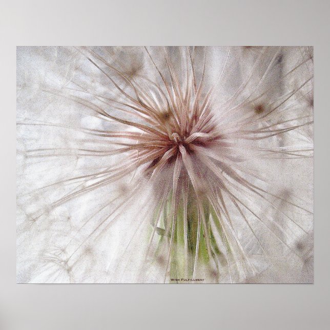 Wish Fulfillment Poster (Vorne)