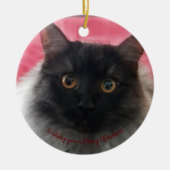 Wishing you a Merry Christmas black silver ragdoll Keramik Ornament (Vorne)