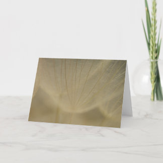 Wispy weiße Blume Karte