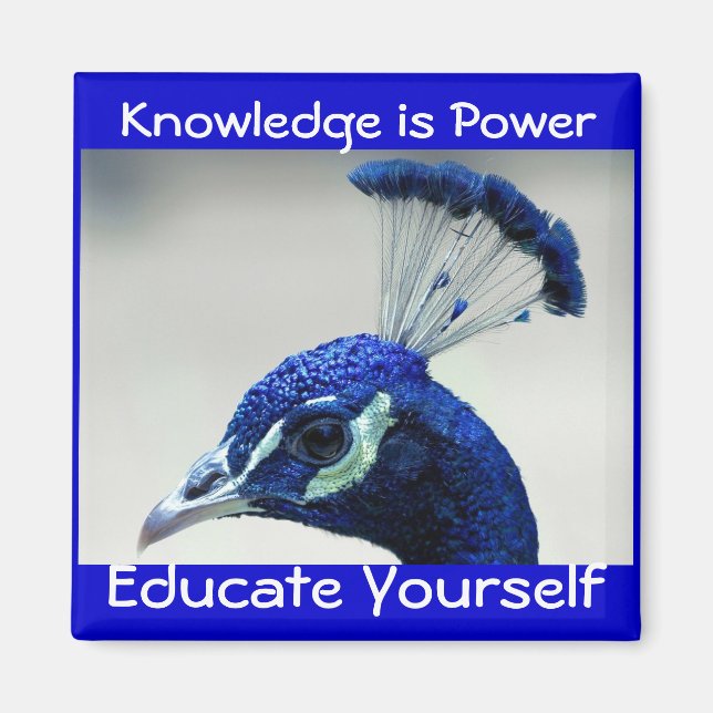Wissen ist Power-Magnet Magnet (Vorne)