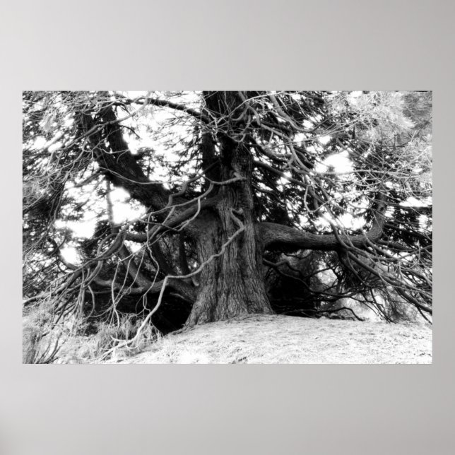 Wissen Poster (Vorne)