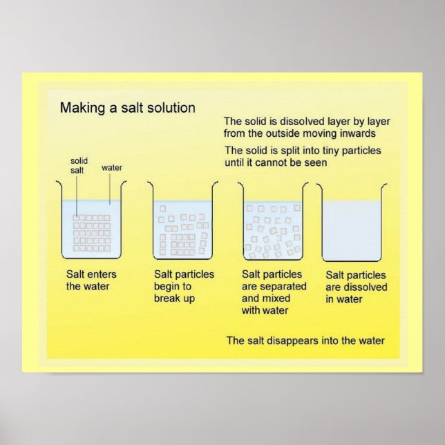 Wissenschaft, Chemie, Salzgewinnung Poster (Vorne)
