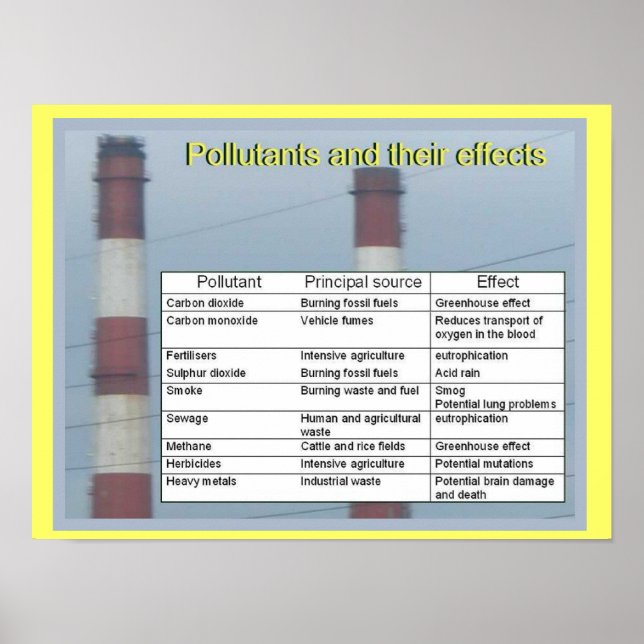 Wissenschaft, Chemie, Schadstoffe und ihre Auswirk Poster (Vorne)