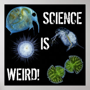 Wissenschaft ist sonderbares Plakat! Poster