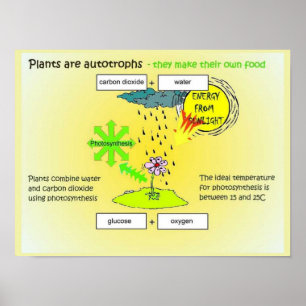 Wissenschaft, Pflanze, Autogramme, Lebensmittel Poster