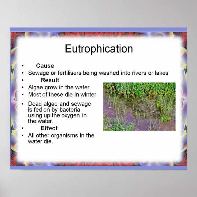 Wissenschaft, Umweltchemie, Eutrophierung Poster (Vorne)