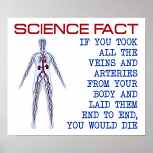 Wissenschaft Veins lustiges Plakat