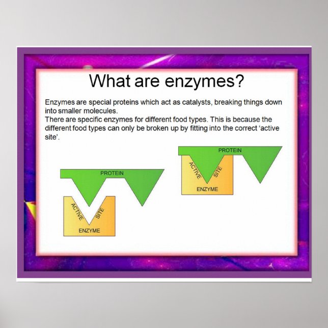 Wissenschaft, Verdauung, Enzyme am Arbeitsplatz Poster (Vorne)