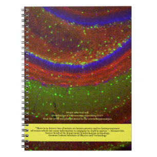 Wissenschaftler sagen ... Gitterangebot und Neuron Notizblock