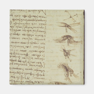 Wissenschaftliche Diagramme Magnet