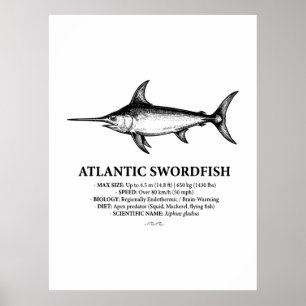 Wissenschaftliche Illustration des Atlantischen Sc Poster