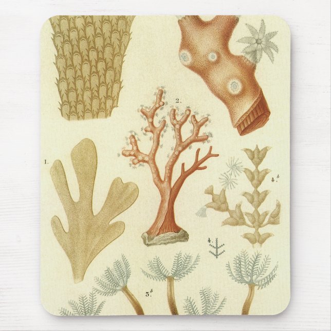 Wissenschaftslehrbuch Biologie, Vintage Korallenti Mousepad (Vorne)