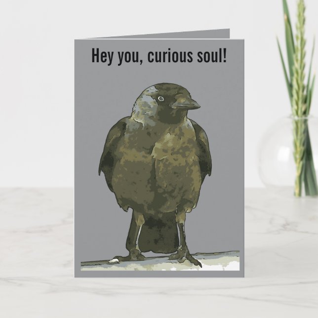 Wissensdurstiger Barsch Aaskrähe Karte (Vorderseite)