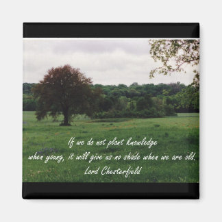 Wissensmagazin Magnet